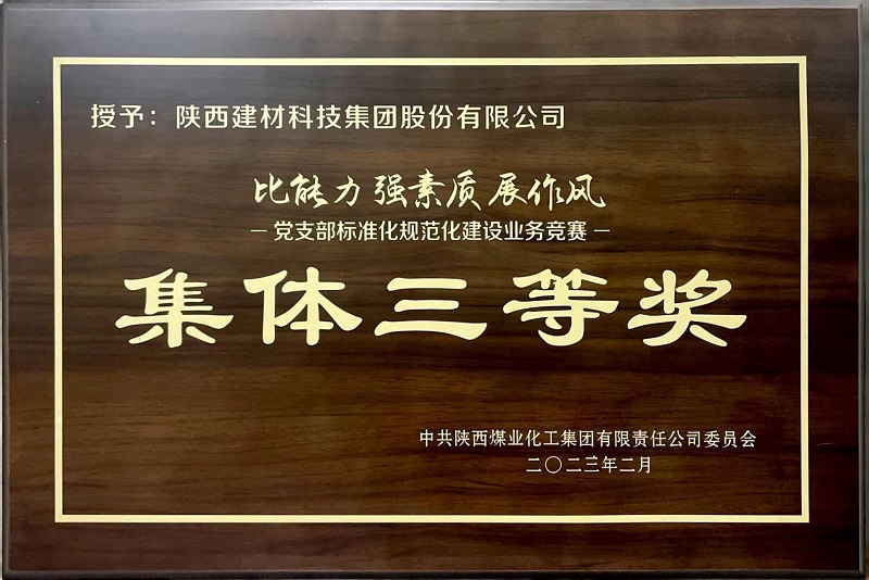 公司荣获“党支部标准化规范化建设营业竞赛”整体三等奖