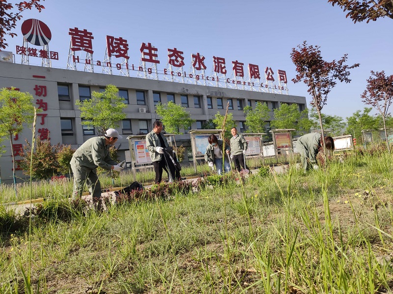 激情五月坚定初心 义务劳动彰显风范