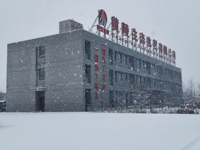 黄陵深冬，与雪共一场清欢